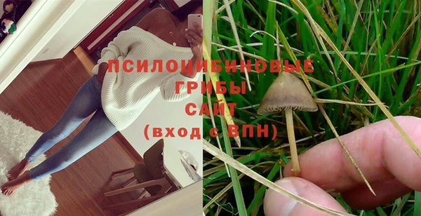 МДПВ Семилуки