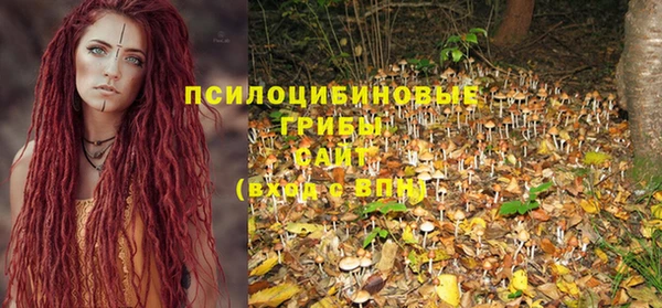 mix Слюдянка