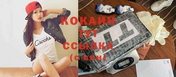 МДПВ Семилуки